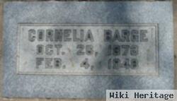 Cornelia "kate" Van Lissel Barge