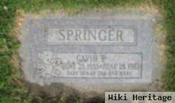 Gavin P. Springer