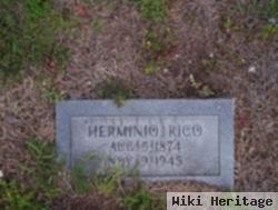 Hermino Rico