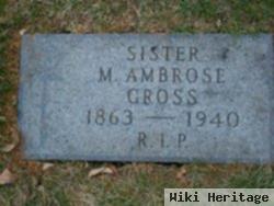 Sr M. Ambrose Gross