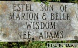 Estel Wisdom