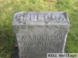 Rebecca A Anderson