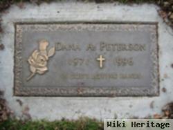 Dana A Peterson