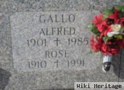 Rose Gallo