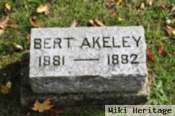 Bert Akeley