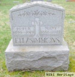 Peter Fitzsimmons