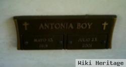 Antonia Boy