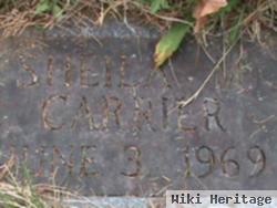 Sheila M. Carrier