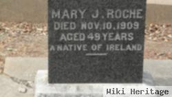 Mary Roche