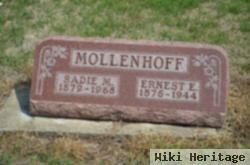 Sadie Mathilda Freed Mollenhoff