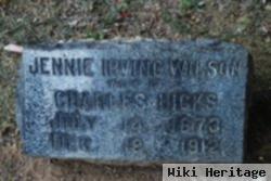 Jennie Irving Wilson Hicks