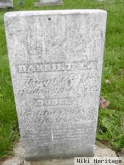 Harriet Dodge