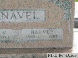 Harvey Knavel