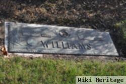 George H Williams