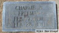 Charles A Freeman