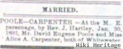 Alice Adelaide Carpenter Wertz