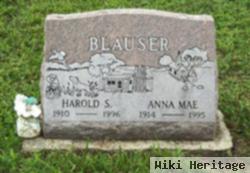 Harold S Blauser