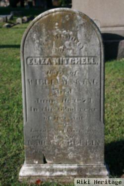 Eliza Mitchell King