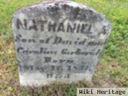 Nathaniel A Gerberich