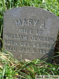 Mary A. Jenison