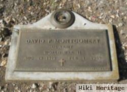 David P Montgomery