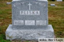 Gerald S Pliska