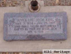 Joyce Lee Jech King