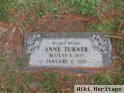 Anne Elizabeth Werner Turner