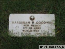 Harriman H Goodwin