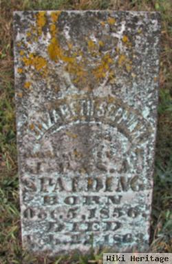 Elizabeth Sophia H Spalding