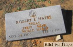 Robert L. Hayes