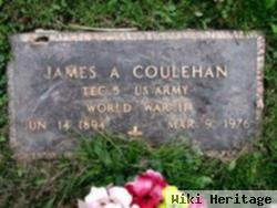 James A Coulehan