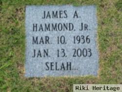 James A Hammond, Jr