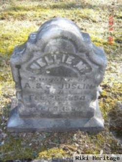 Nellie M. Joslin