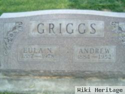 Andrew Griggs