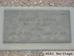 Horst A Dorn