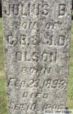 Julius Berten Olson