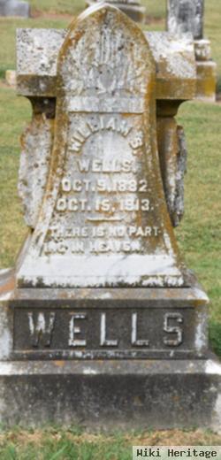 William S Wells