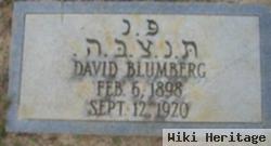 David Blumberg