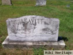 Sarah May Wilson Leavitt