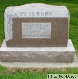 Charles A. Peterson