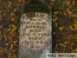 Nellie Norris