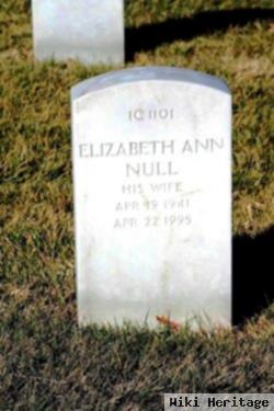 Elizabeth Ann Pippin Null
