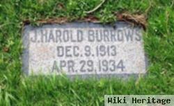 Joseph Harold Burrows