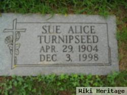 Sue Alice Lawrence Turnipseed