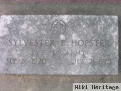 Sylvester Edward Hopster