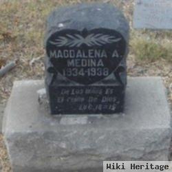 Magdalena A. Medina