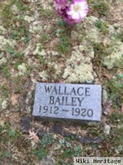 Wallace Bailey