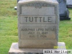 Adolphus Lippo Tuttle