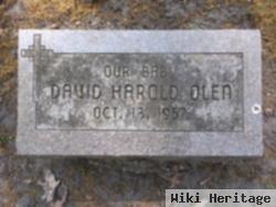 David Harold Olen
